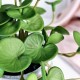 Artificial Plants